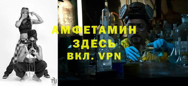 индика Вязьма