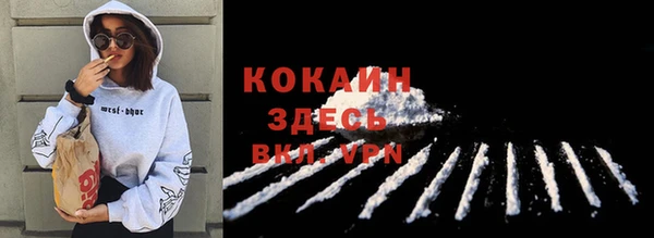 индика Вязьма