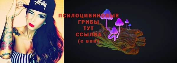 индика Вязьма