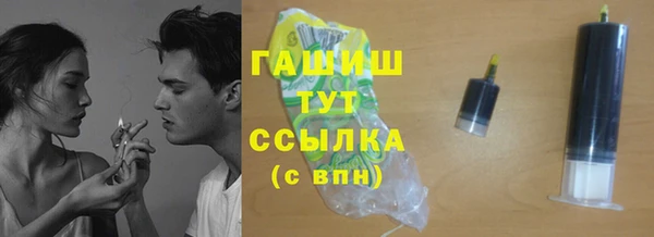 индика Вязьма