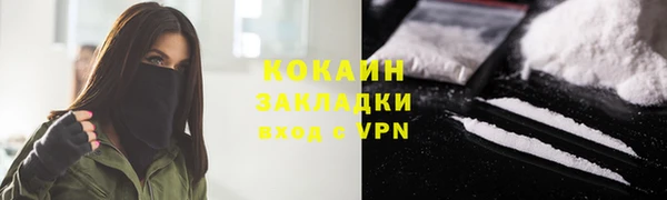 индика Вязьма