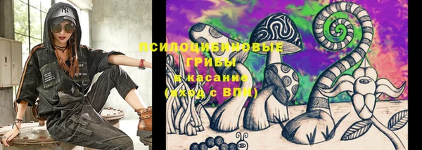 индика Вязьма