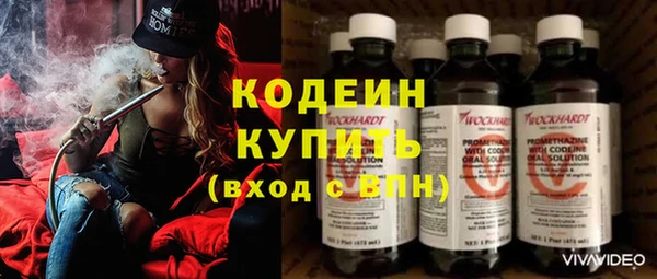 индика Вязьма