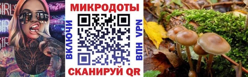 мега ТОР Пущино Псилоцибиновые грибы мухоморы закладка